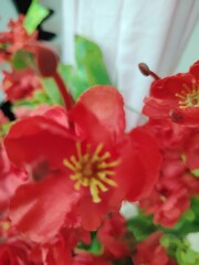 Vibrant Red Artificial Flowers Displaying Spring Beauty and Elegant Floral Arrangement