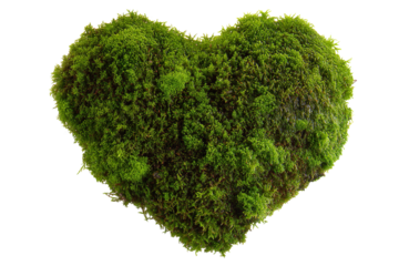 Moss heart shape.