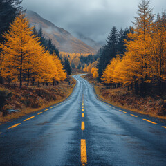 Fototapeta premium Yellow trees line road leading to distant mountain.