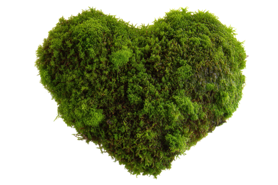 Moss heart shape.