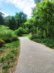 path in the park
