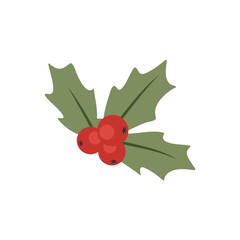 Christmas holly berry vector icon