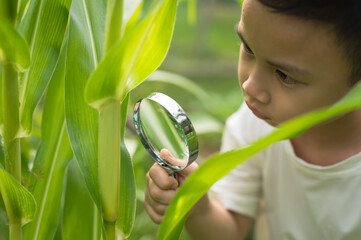 Close-up of little boy holding magnifying glass to check for insects, childhood curiosity, science learning, nature exploration, early childhood development