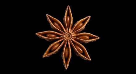 Macro photograph of a single star anise pod, a fragrant aromatic spice, isolated on a stark black background.