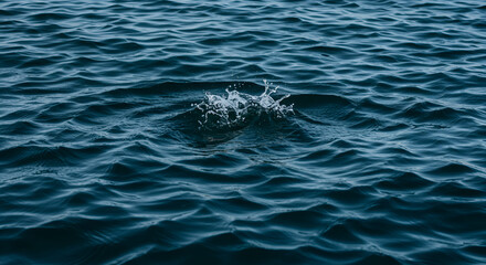 Obraz premium Dark water ripples with splash