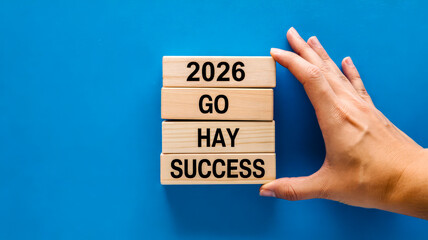Wooden blocks with words and year success goal