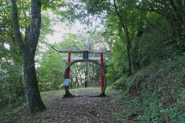 日本：足柄明神跡／茅の輪（くぐって厄を落とす輪）を付けた鳥居／神奈川県南足柄市・9月