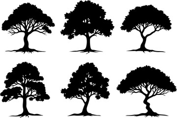 Tree Silhouette Collection bundle