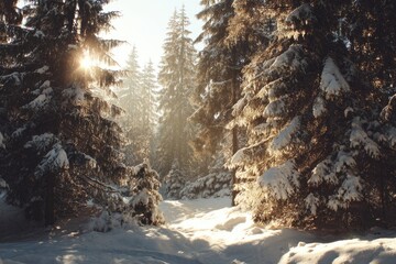 Sunlit snow-covered forest path
