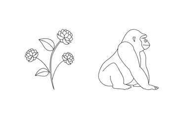 Obraz premium Gorilla and floral plant line art primate animal