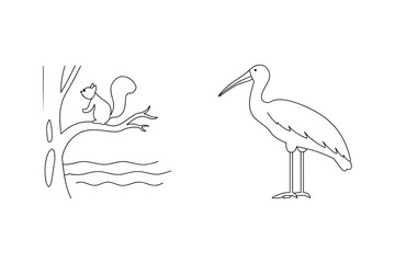 Fototapeta premium Squirrel on tree branch near water and ibis waves