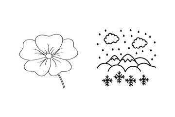 Floral bloom and winter weather flower petal