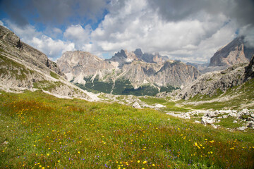 Fototapeta premium Alpine meadow in the mountains, The Dolomites, Italy