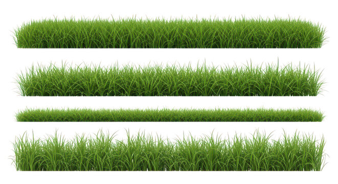 Lush Green Grass Borders 4 Variations