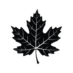 Maple Leaf Silhouette Vector – Autumn Nature Botanical Icon