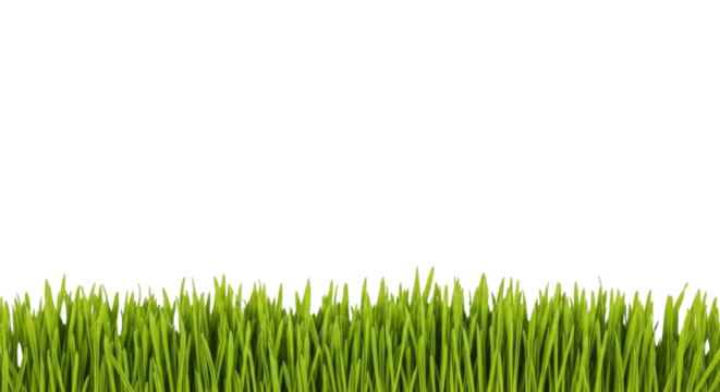 Fresh green grass turf isolated PNG with Transparent Background