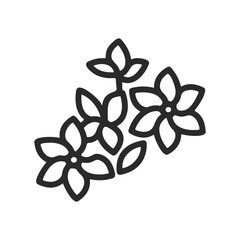 Fototapeta premium Simple floral outline design with three blossoms and leaves