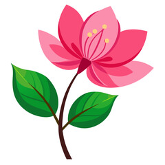 eastern redbud line art vector illustration on white background 