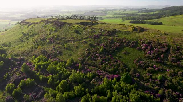 The ancient twin forts of Old Bewick multivallate Iron Age hillfort south east of Wooler, Northumberland, England. Aerial view over scarp edge to north west. 4k video fly up in