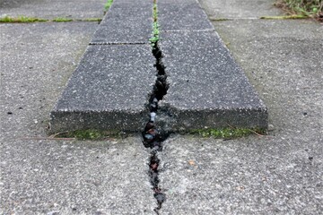 Cracked gray paving stones