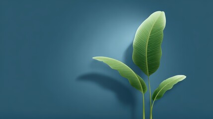 Fototapeta premium Tropical Leaves Art, Minimalist Design, Botanical Plant