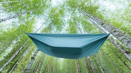 Camping Hammock in Forest Trees - Outdoor Relaxation - nature travel