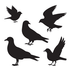 Obraz premium Wild Bird Species Silhouettes Pack – Minimal Vector Icons of Songbirds, Hawks, Doves, and Seabirds in Side and Top Views