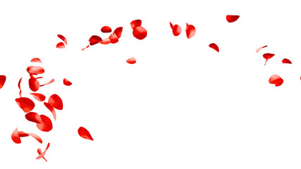赤いバラの花びらの乱舞：背景透過