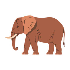 Elephant vector illustration on white background.