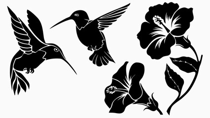 Silhouette illustration of two hummingbirds and two hibiscus flowers in black and white vector format