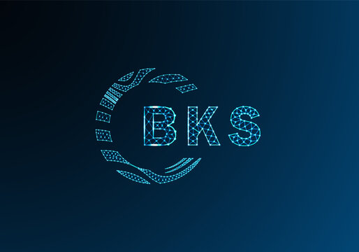 BKS low poly letter logo vector design. BKS lower poly logo design. BKS unique low poly logo design.