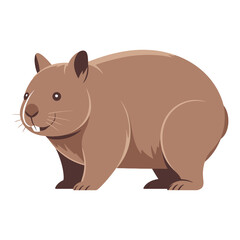 Obraz premium Wombat vector illustration on white background.