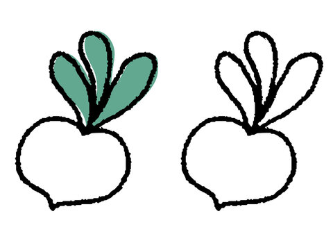 手描きのカブ