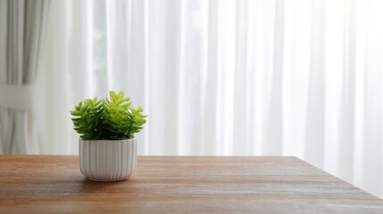 The vibrant succulent plant in a stylish pot on a wooden table.