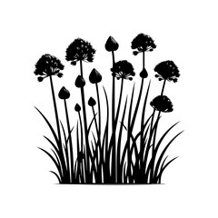 Black Silhouette of Allium Flowers and Grass