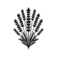 Black Silhouette of Lavender Plant