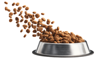 Dog food kibble spilling from a metal bowl