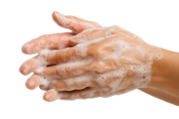 Close-up of hands being washed with soap on a transparent and white background, concept for hygiene promotion, disease prevention and healthcare awareness