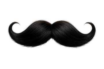 Close-up of a classic, curly black mustache on a transparent and transparent and white background, concept for vintage themes, party decorations and barber shop illustrations