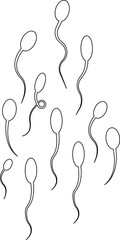 Sperm Icons Vector Set, Collection and Group, Human Reproduction Symbol, Fertility, Medical, Science, Anatomy, Minimal Line Style, Monochrome Silhouette Graphic Bundle for Health and Biology Design