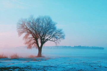 Lonely tree in a winter sunrise mist