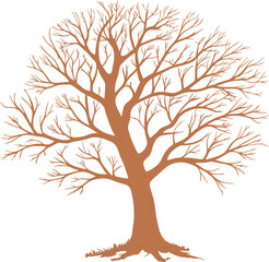 Obraz premium Bare tree silhouette in hand-drawn style with intricate branches and no leaves. Perfect for autumn themes, nature projects, or educational use. Vector outline design in earthy brown tone.