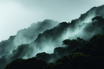 Misty rainforest mountain range