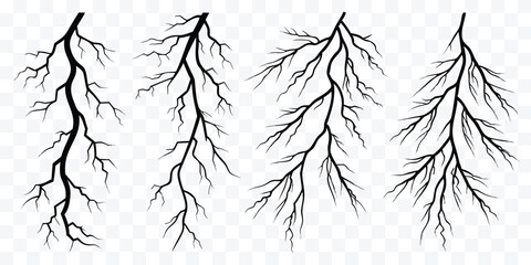 Silhouetted Tree Branches with Intricate Details and Minimalist Design for Creative Projects and Artistic Applications