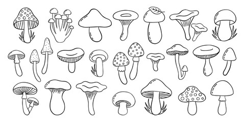 Outline mushrooms doodle big set. Fungi hand drawn sketch of various shapes and sizes isolated on white background. Vector icon