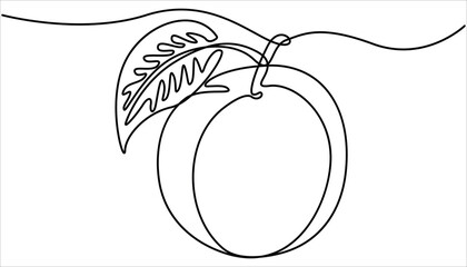 Single Line Drawing of a Plum Fruit Minimalist Art, Plum drawn in one continuous line. Plum fruit in continuous line art drawing style. Continuous one single line drawing of peach fruit icon.