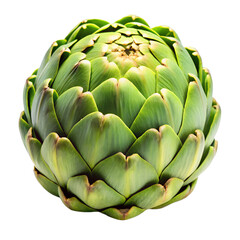 Fototapeta premium Whole fresh artichoke vegetable isolated on transparent background