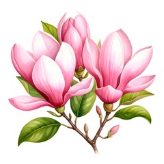 Naklejka premium Delicate pink blossoms on a branch with green leaves, rendered in a botanical illustration style