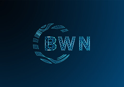 BWN low poly letter logo vector design. BWN lower poly logo design. BWN unique low poly logo design.