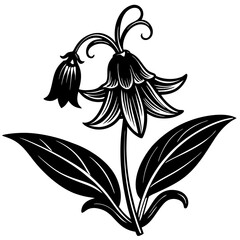 Bellflower silhouette isolated on white background